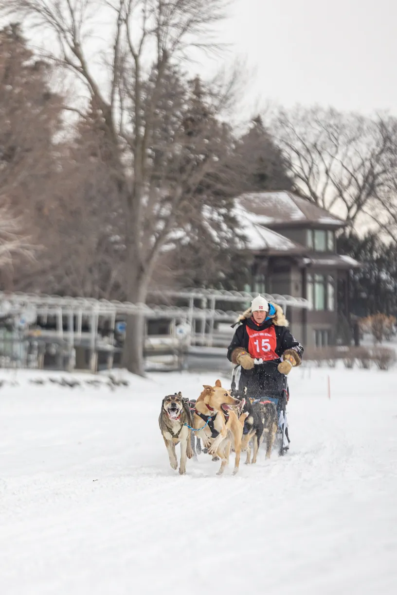 Klondike Dog Derby 2022 Lake Minnetonka, photo 15 of 29