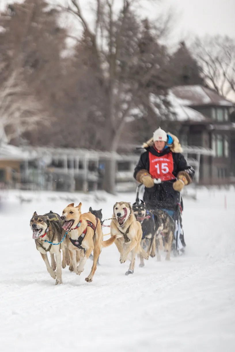 Klondike Dog Derby 2022 Lake Minnetonka, photo 16 of 29