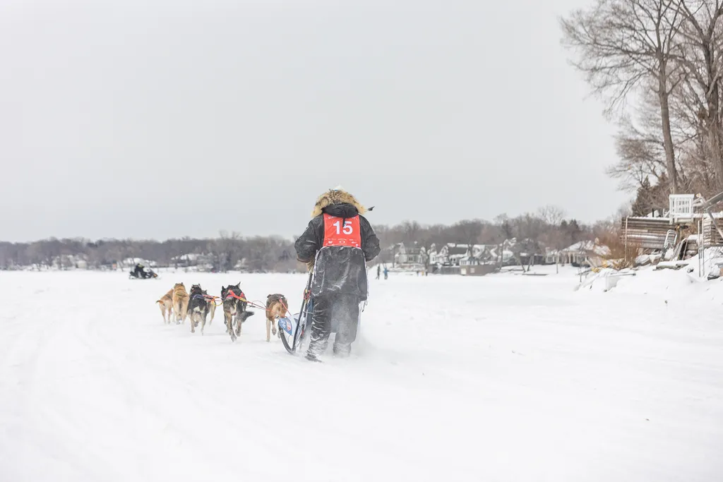 Klondike Dog Derby 2022 Lake Minnetonka, photo 19 of 29