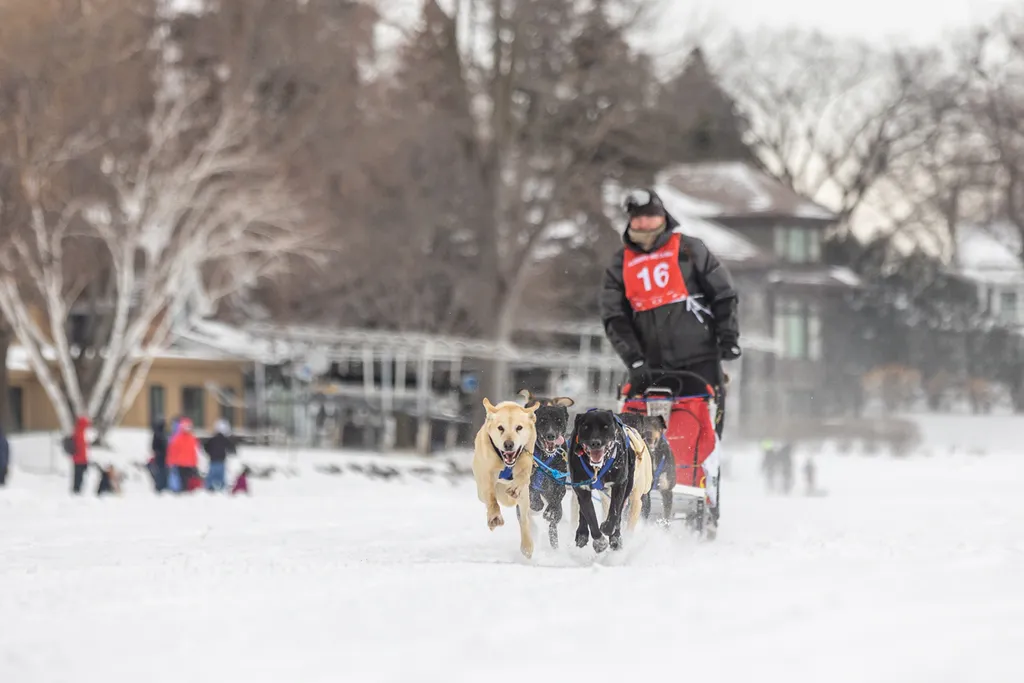 Klondike Dog Derby 2022 Lake Minnetonka, photo 20 of 29