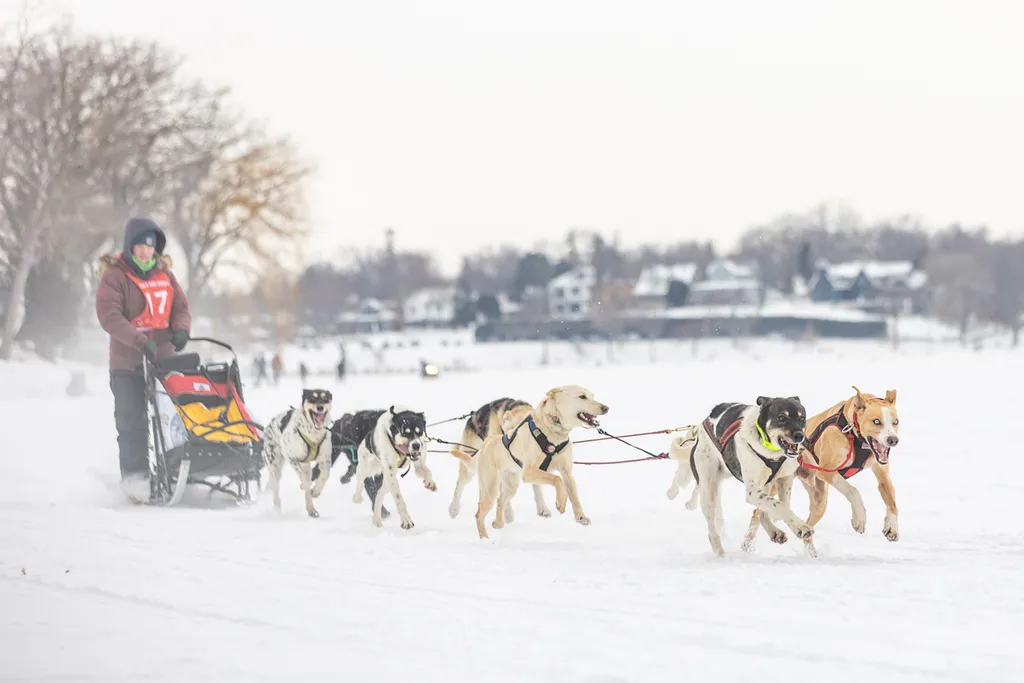 Klondike Dog Derby 2022 Lake Minnetonka, photo 26 of 29