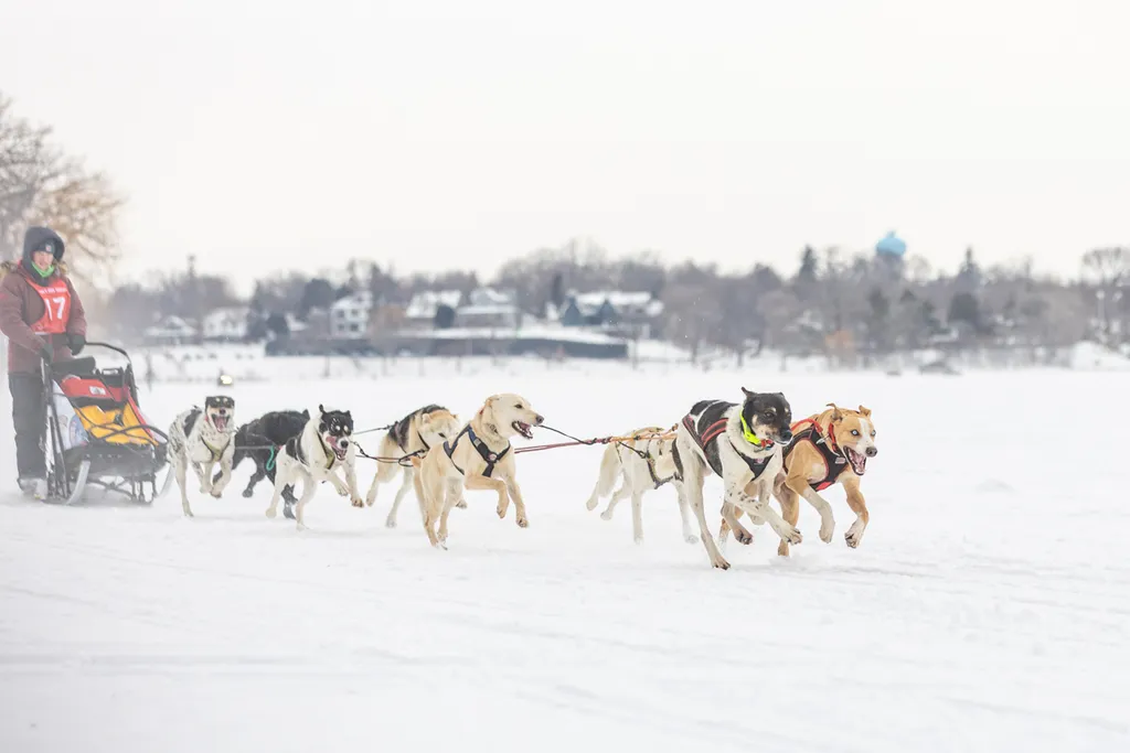 Klondike Dog Derby 2022 Lake Minnetonka, photo 27 of 29