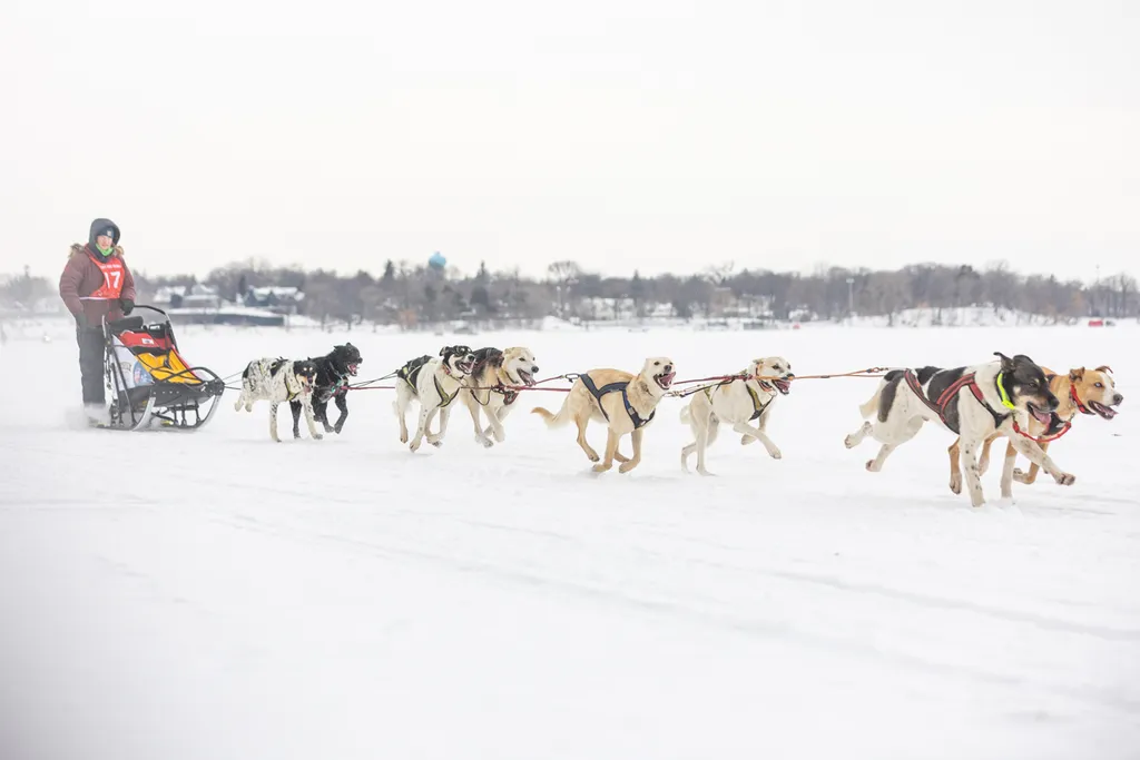 Klondike Dog Derby 2022 Lake Minnetonka, photo 28 of 29