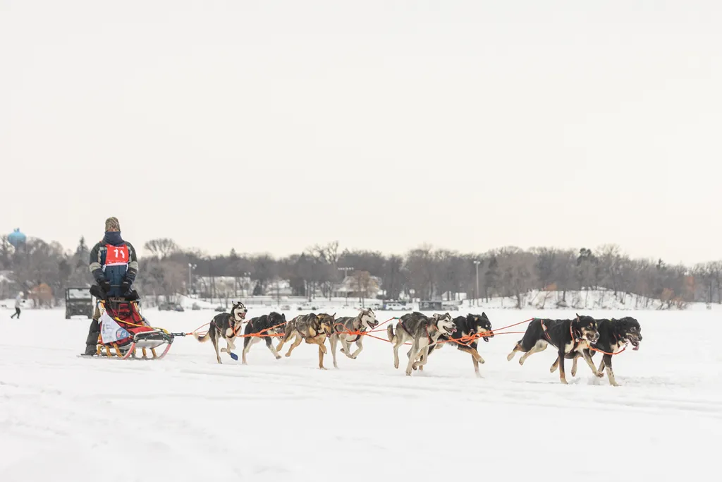 Klondike Dog Derby 2022 Lake Minnetonka, photo 4 of 29