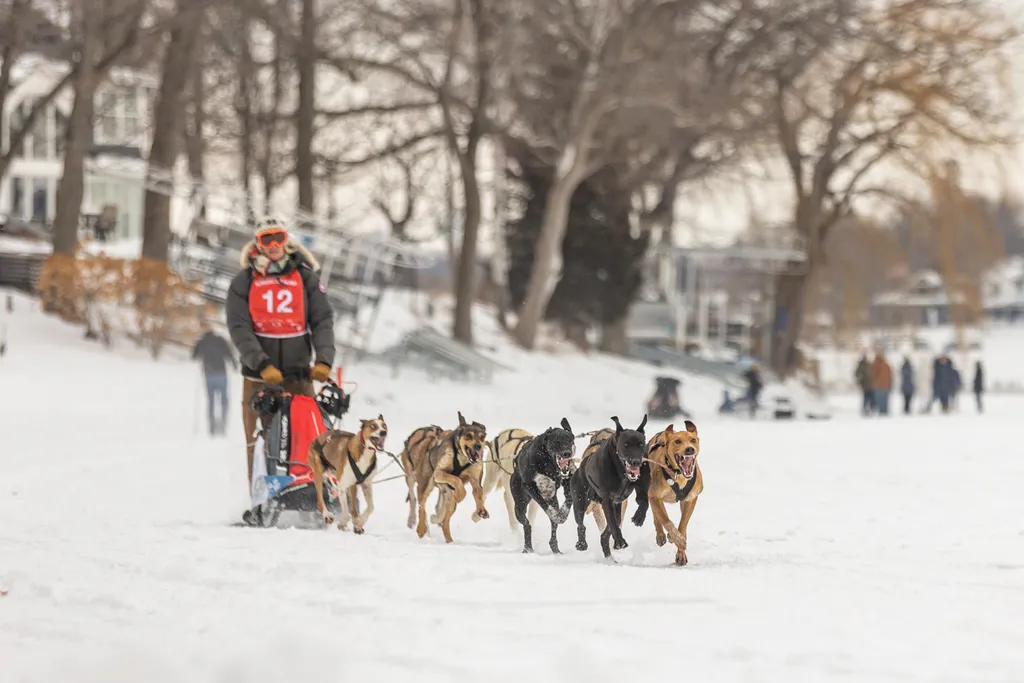 Klondike Dog Derby 2022 Lake Minnetonka, photo 7 of 29