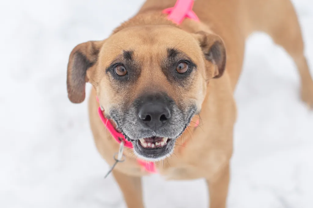 Rescue Photography in 2021, photo 2 of 89