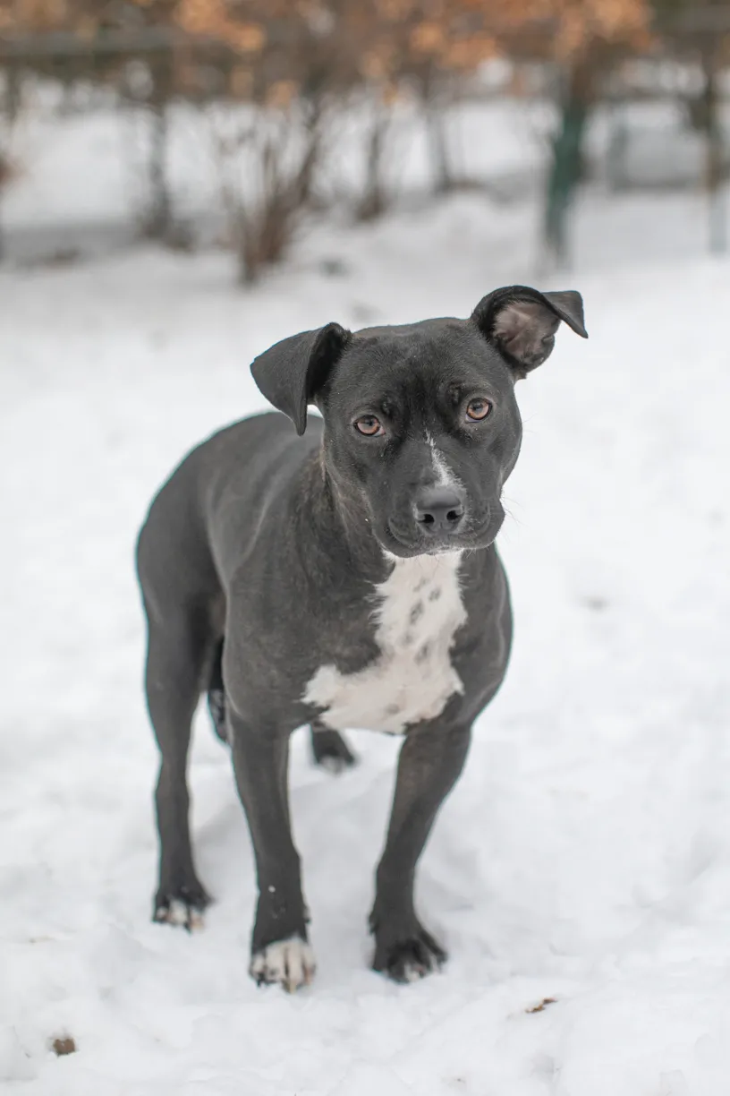 Rescue Photography in 2021, photo 5 of 89