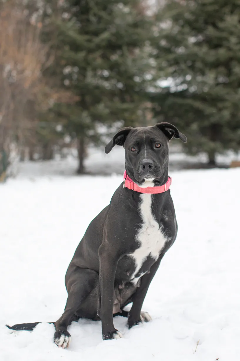 Rescue Photography in 2021, photo 6 of 89