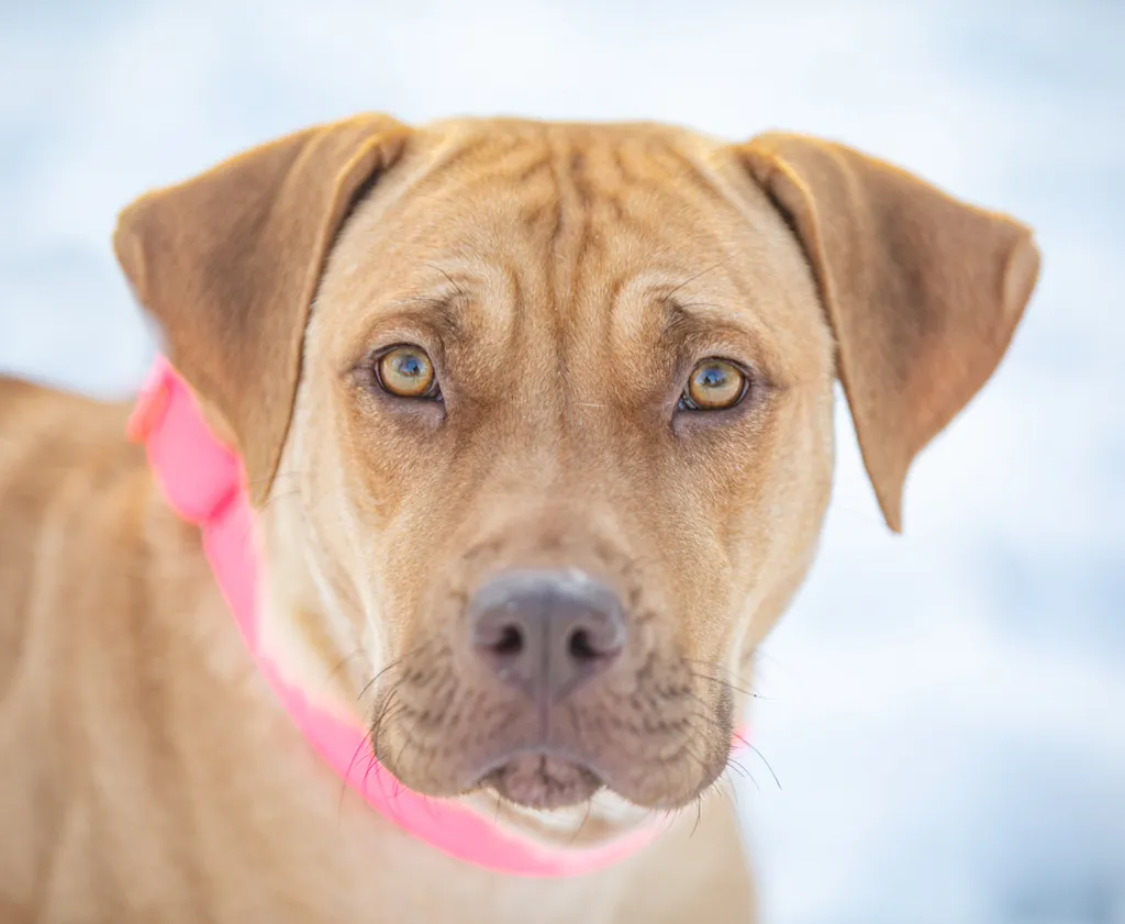 Rescue Photography in 2021, photo 3 of 89