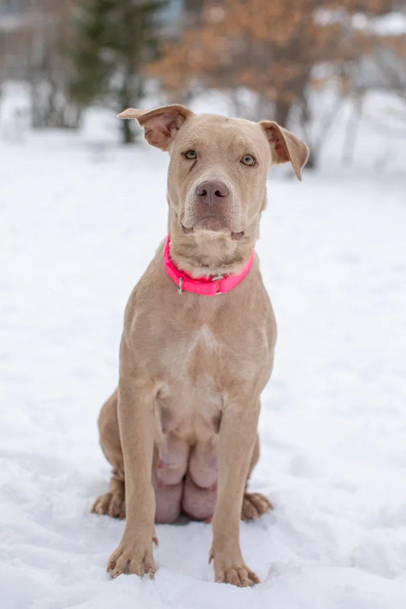 Rescue Photography in 2021, photo 7 of 89
