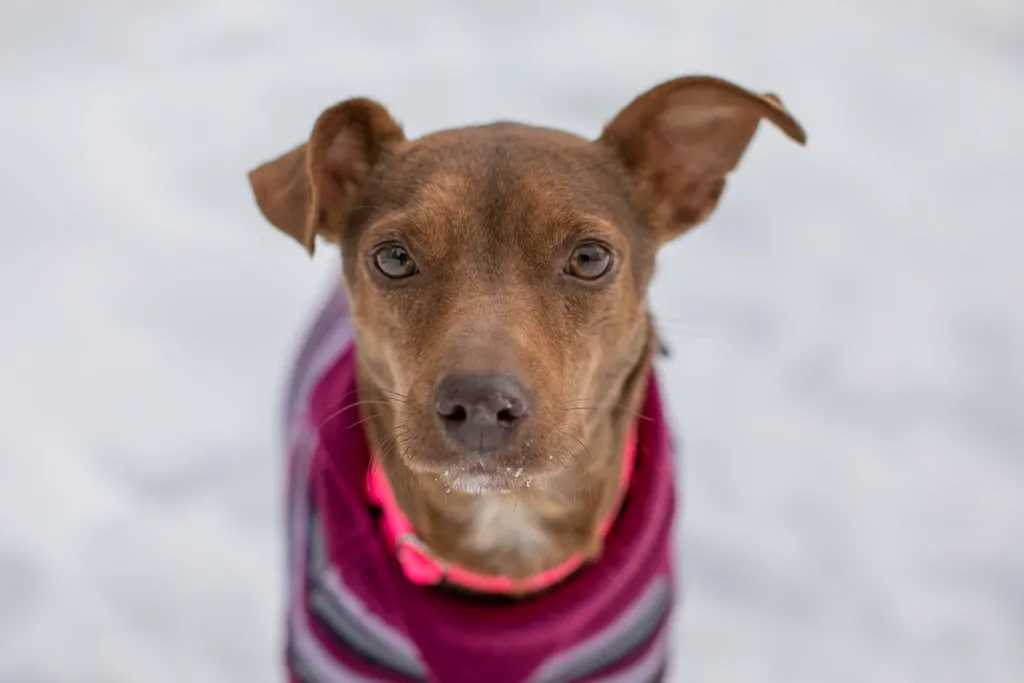 Rescue Photography in 2021, photo 4 of 89