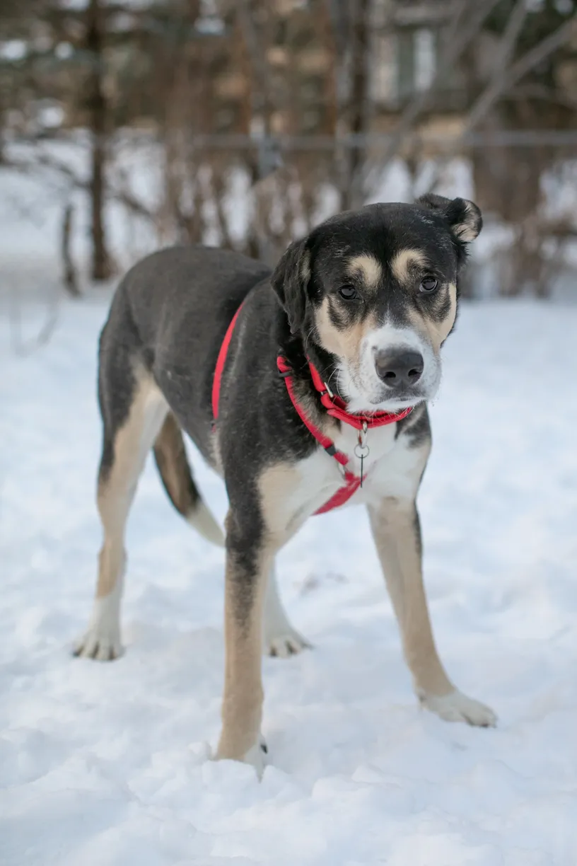 Rescue Photography in 2021, photo 8 of 89