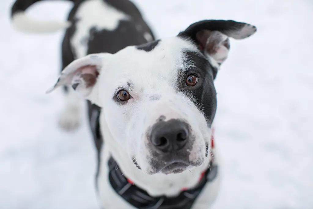 Rescue Photography in 2021, photo 10 of 89