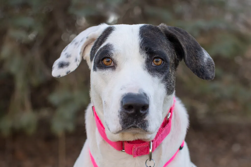 Rescue Photography in 2021, photo 11 of 89