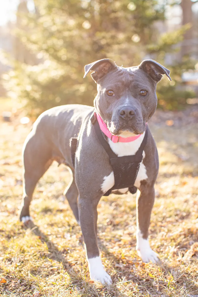 Rescue Photography in 2021, photo 12 of 89