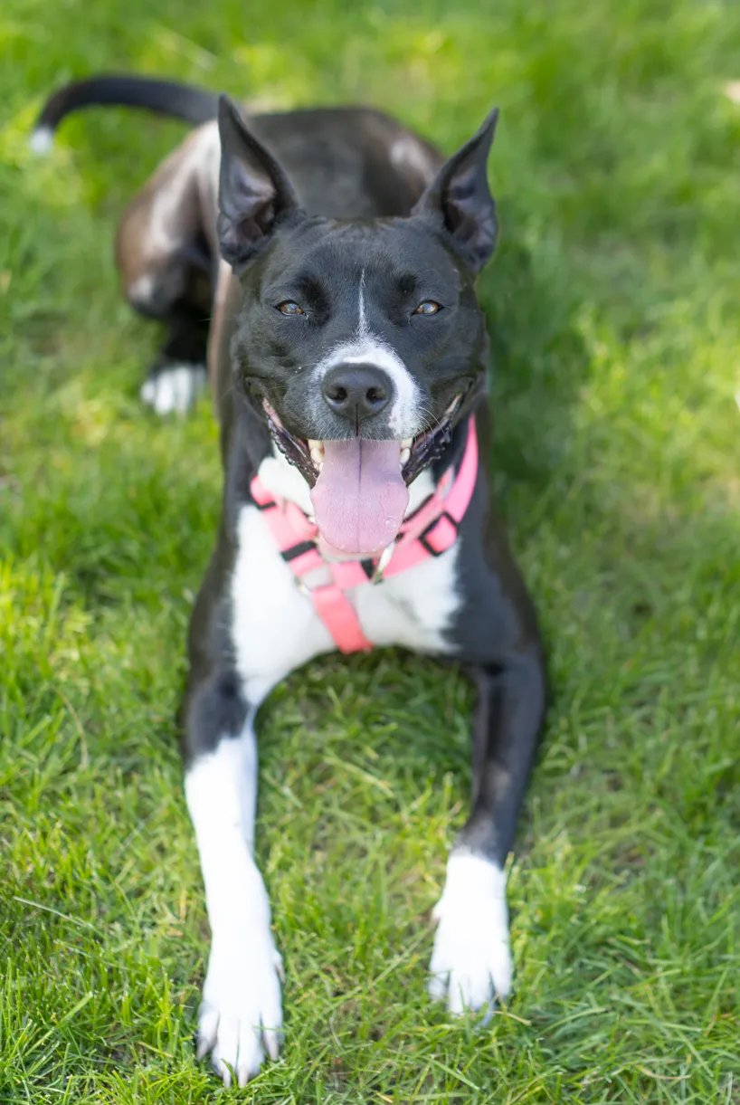 Rescue Photography in 2021, photo 13 of 89