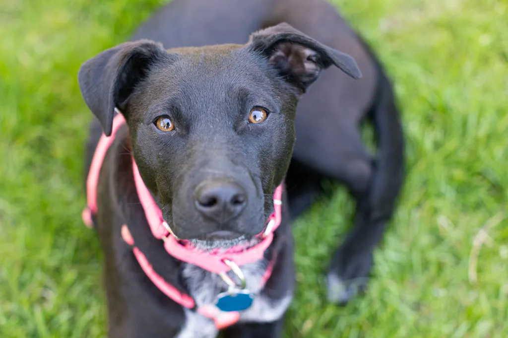 Rescue Photography in 2021, photo 21 of 89