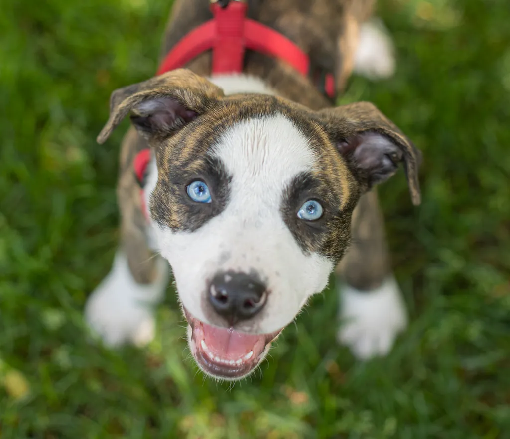 Rescue Photography in 2021, photo 22 of 89