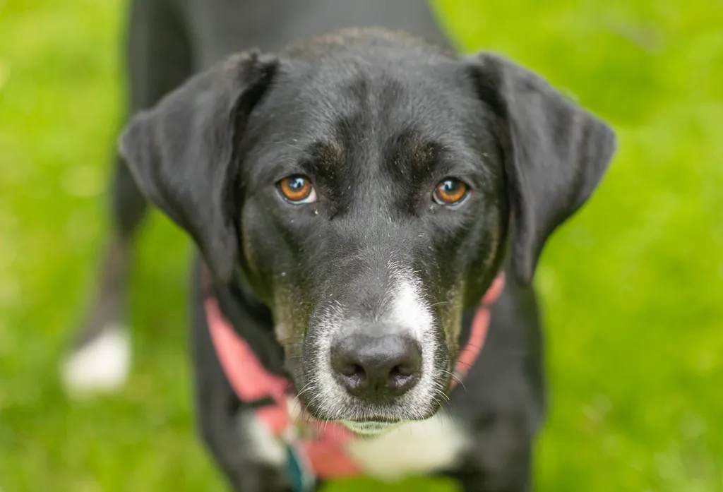 Rescue Photography in 2021, photo 26 of 89
