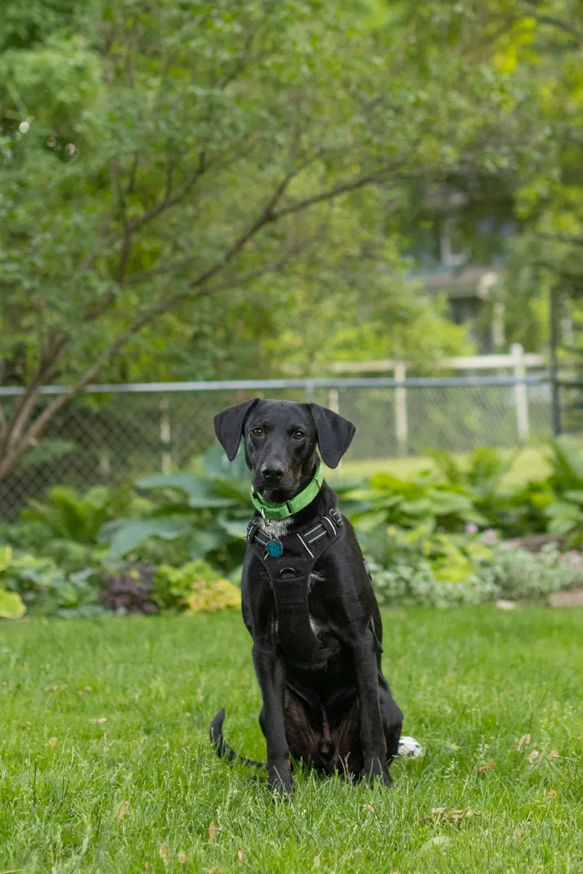 Rescue Photography in 2021, photo 15 of 89