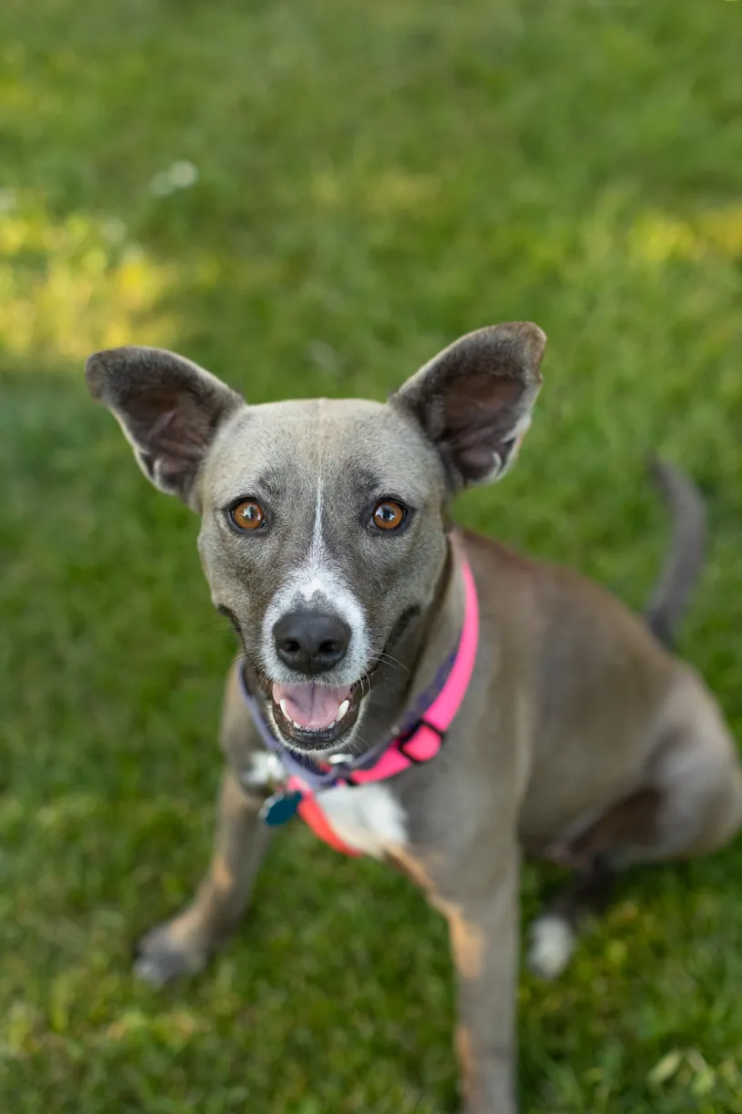 Rescue Photography in 2021, photo 28 of 89