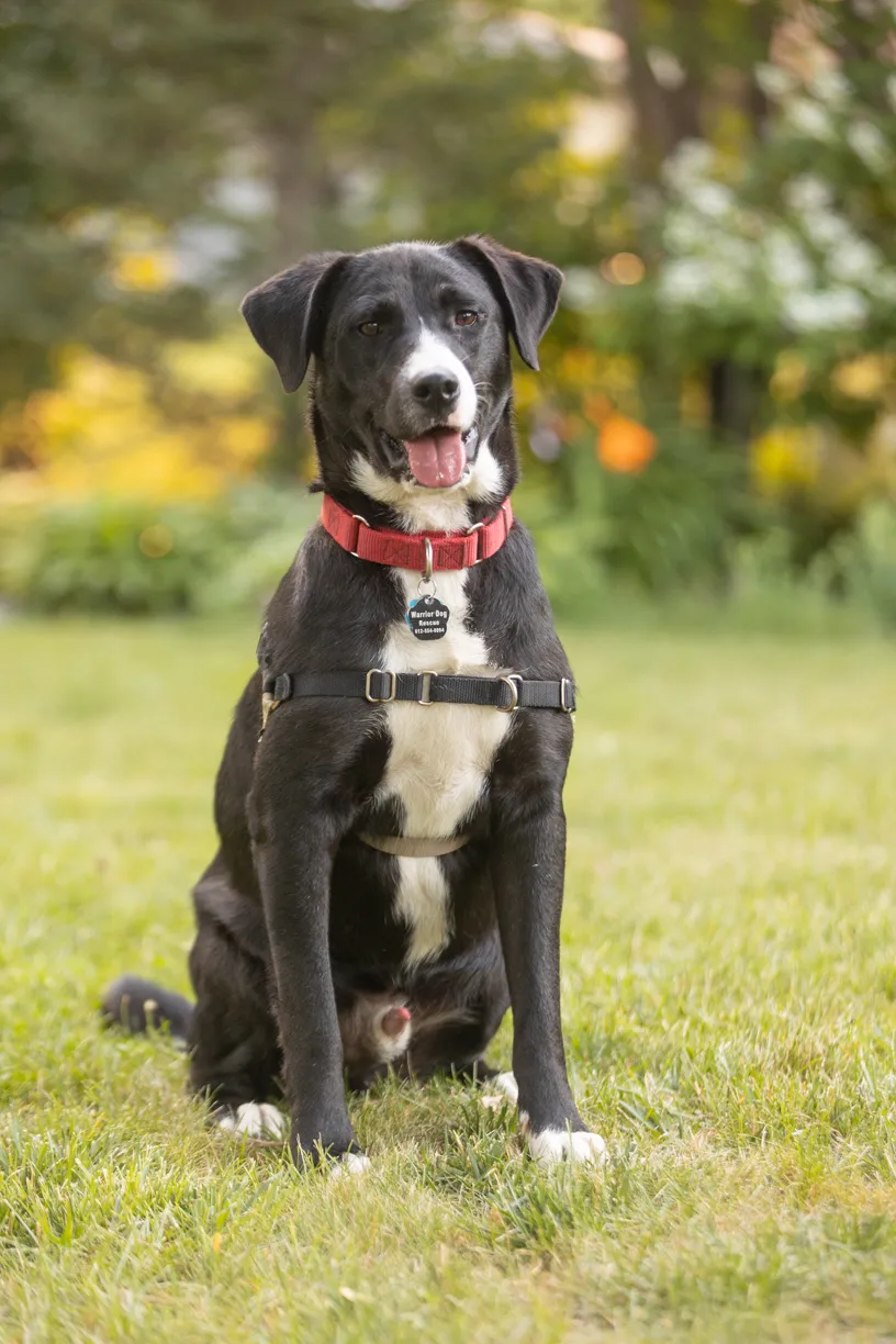 Rescue Photography in 2021, photo 29 of 89