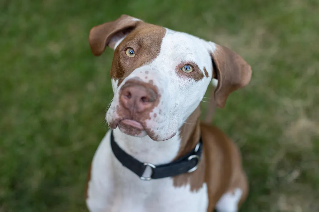 Rescue Photography in 2021, photo 31 of 89
