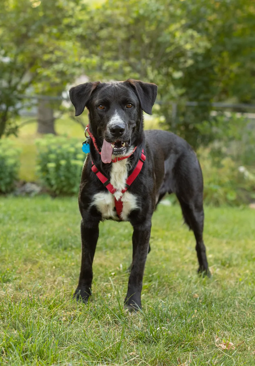Rescue Photography in 2021, photo 36 of 89