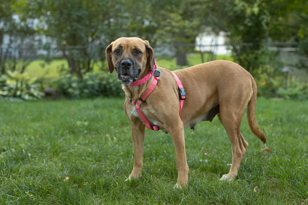 Rescue Photography in 2021, photo 37 of 89