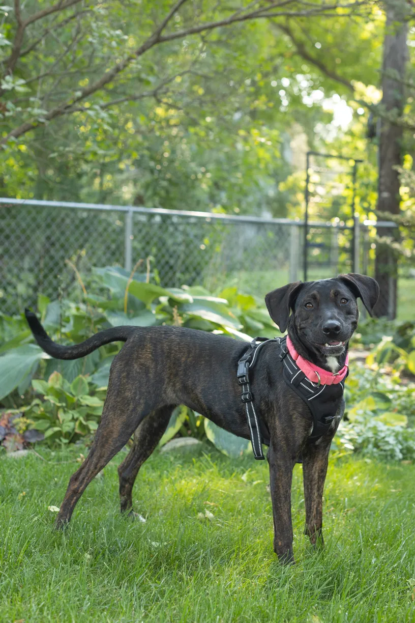 Rescue Photography in 2021, photo 38 of 89