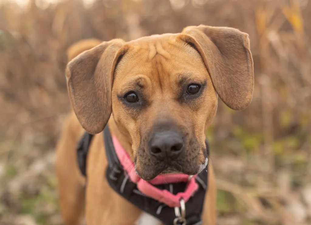 Rescue Photography in 2021, photo 42 of 89