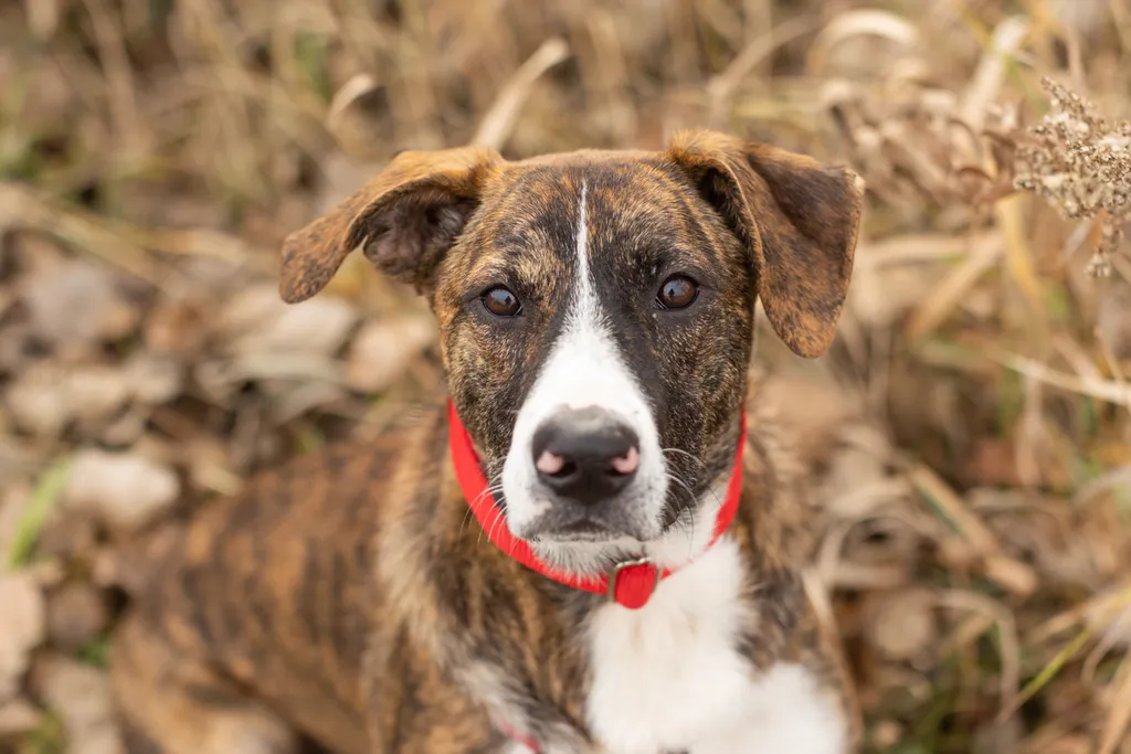 Rescue Photography in 2021, photo 44 of 89