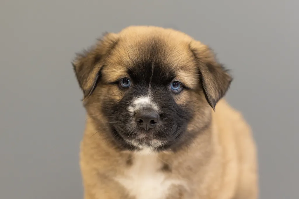 Rescue Photography in 2021, photo 46 of 89