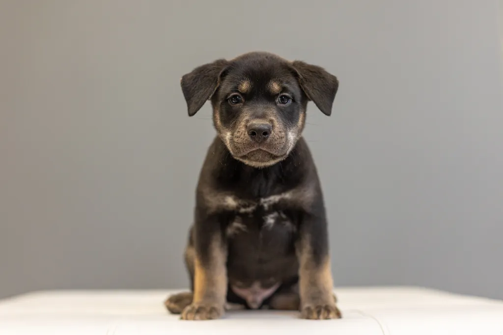 Rescue Photography in 2021, photo 47 of 89
