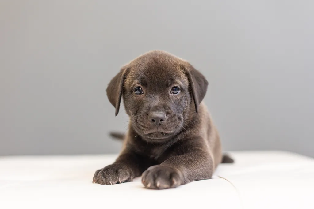 Rescue Photography in 2021, photo 49 of 89