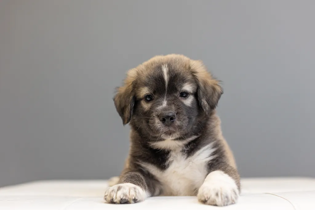 Rescue Photography in 2021, photo 51 of 89