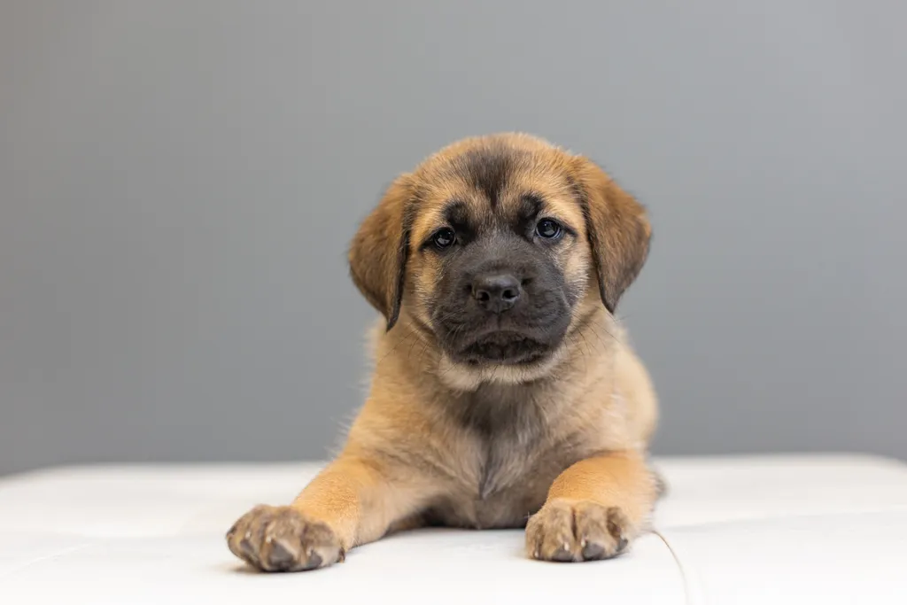 Rescue Photography in 2021, photo 53 of 89
