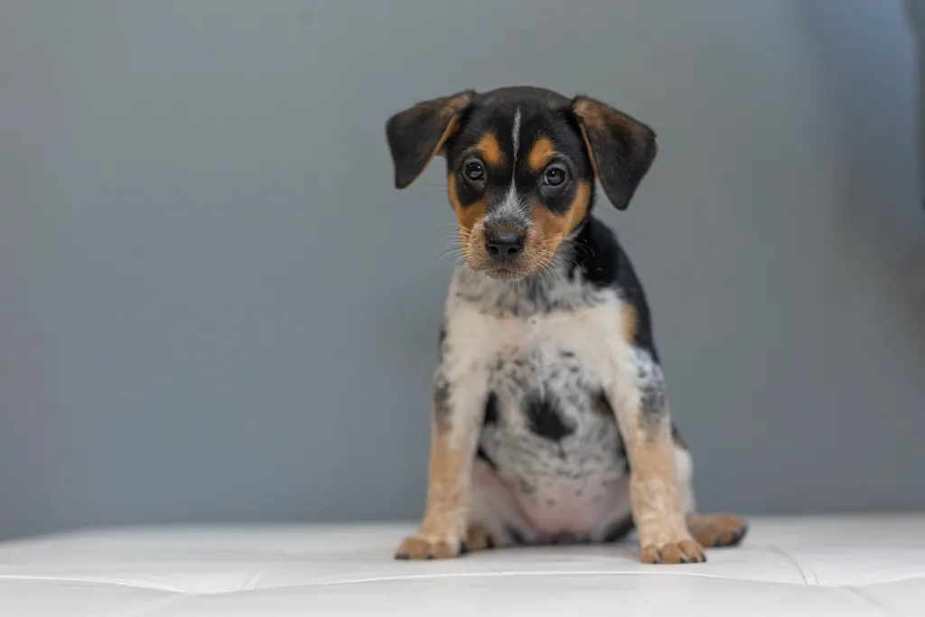 Rescue Photography in 2021, photo 54 of 89