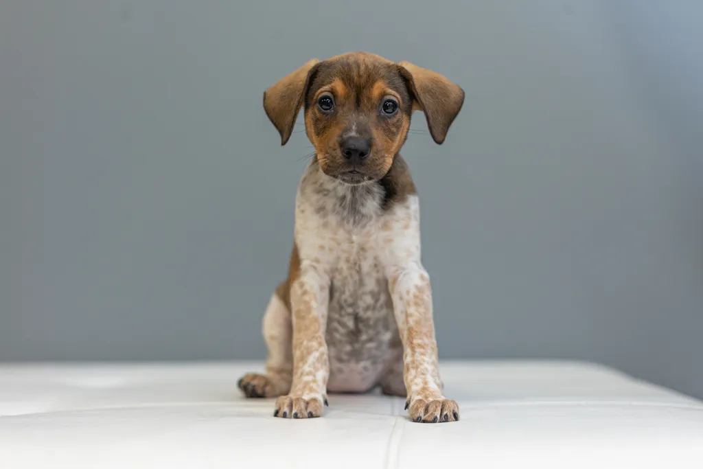 Rescue Photography in 2021, photo 59 of 89