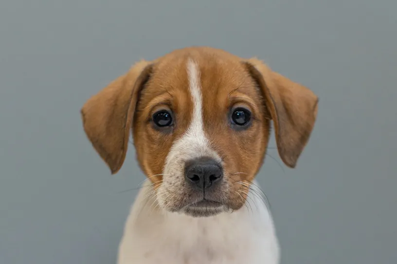 Rescue Photography in 2021, photo 60 of 89