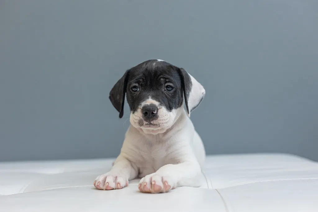Rescue Photography in 2021, photo 61 of 89