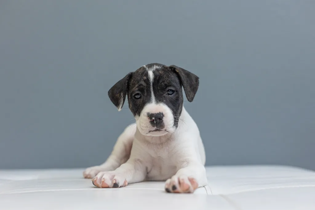 Rescue Photography in 2021, photo 62 of 89