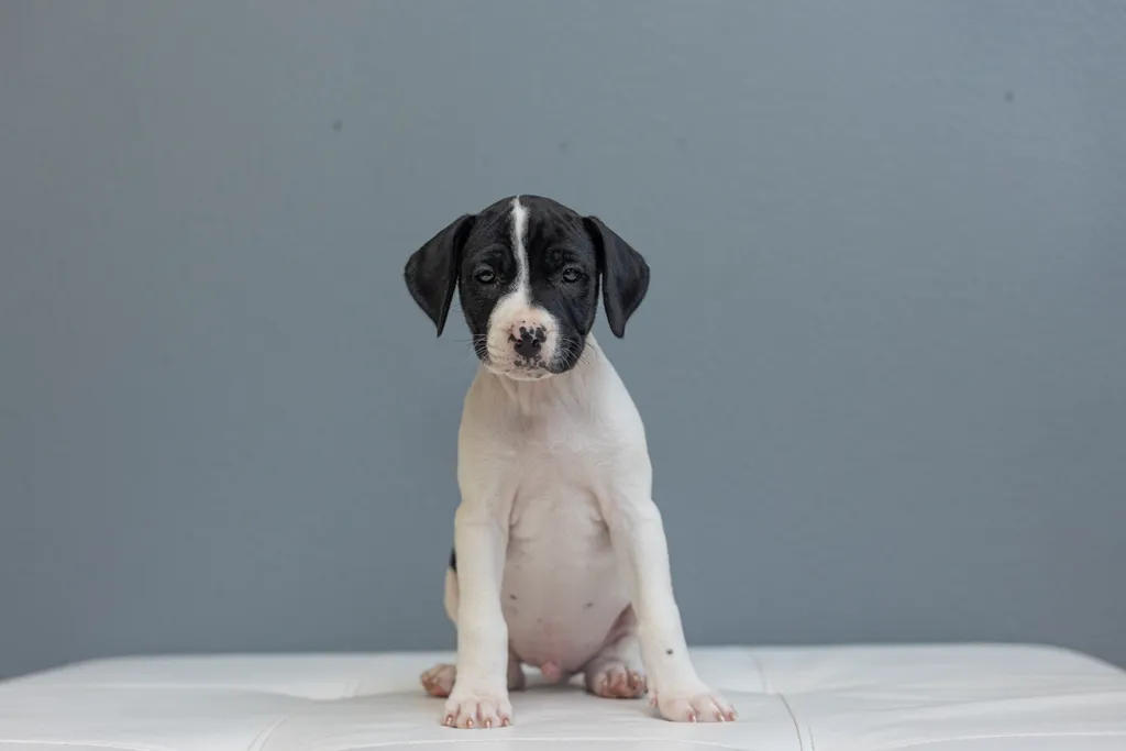 Rescue Photography in 2021, photo 64 of 89