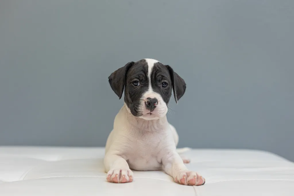 Rescue Photography in 2021, photo 65 of 89