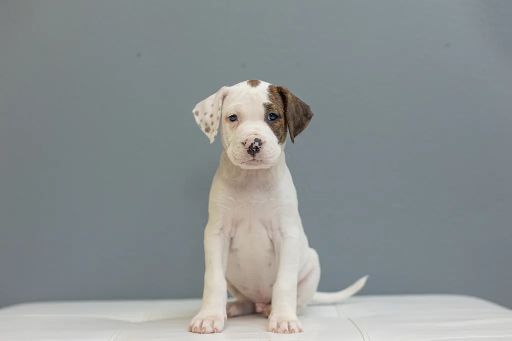 Rescue Photography in 2021, photo 66 of 89