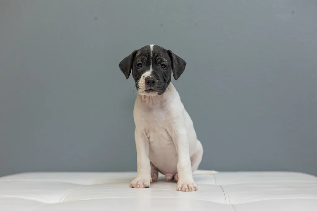 Rescue Photography in 2021, photo 71 of 89