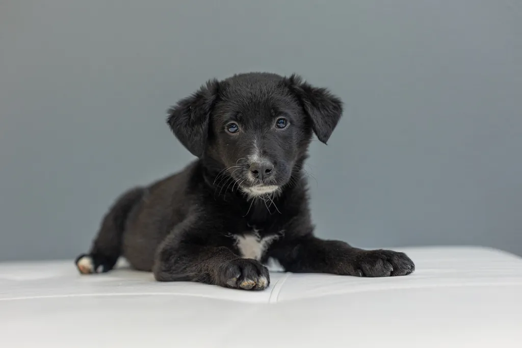 Rescue Photography in 2021, photo 73 of 89