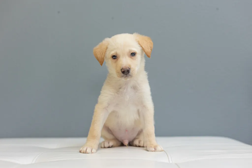 Rescue Photography in 2021, photo 74 of 89