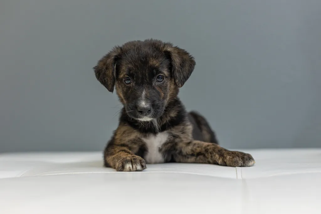 Rescue Photography in 2021, photo 75 of 89
