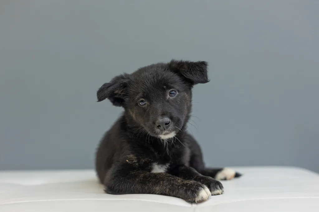 Rescue Photography in 2021, photo 76 of 89